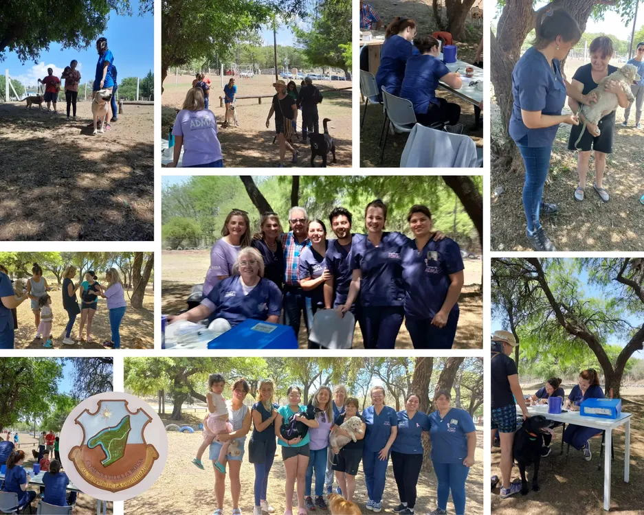Vídeo Collage de Fotos Amor Animado Blanco y Negro Enfocado
