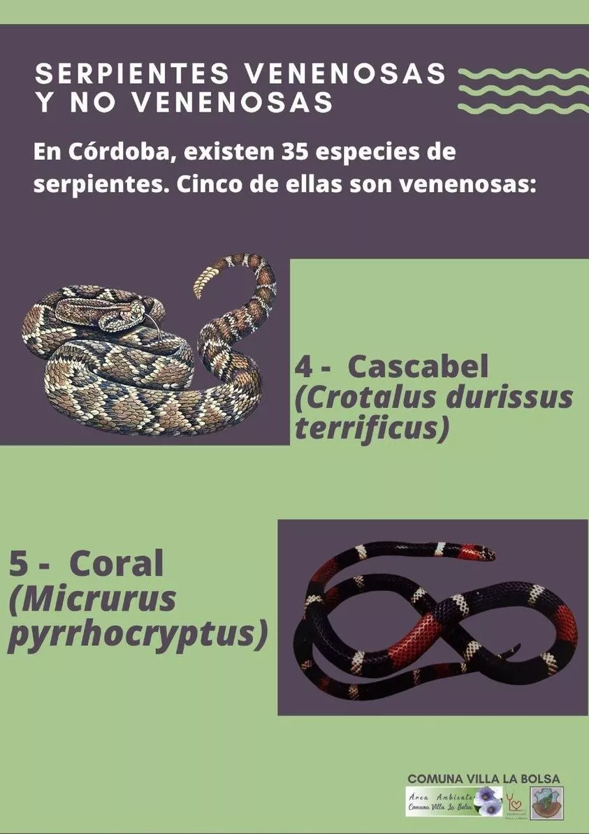 WhatsApp Image 2022-07-26 at 12.37.32 AM (2)