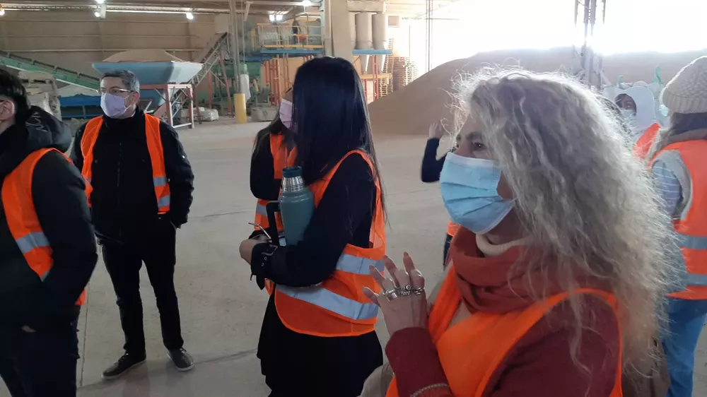 WhatsApp Image 2022-05-17 at 10.32.34 AM