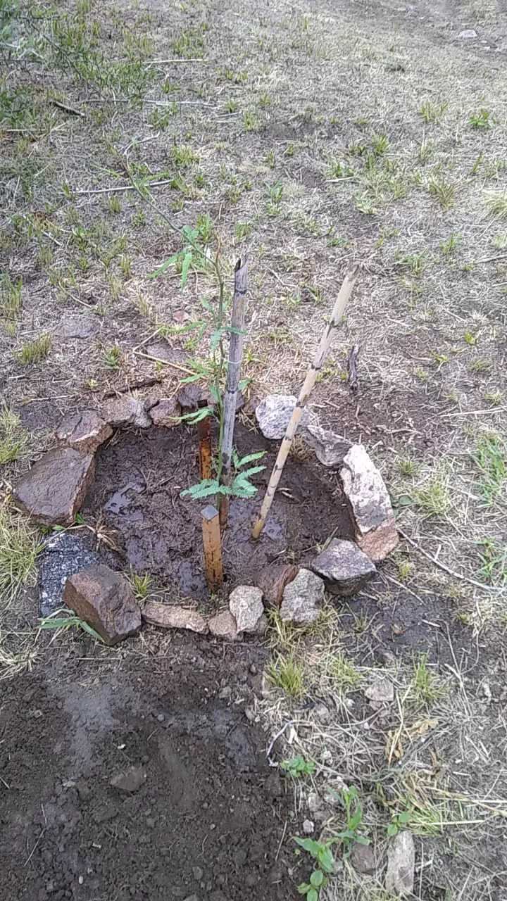 WhatsApp Image 2022-01-20 at 1.23.37 PM (1)