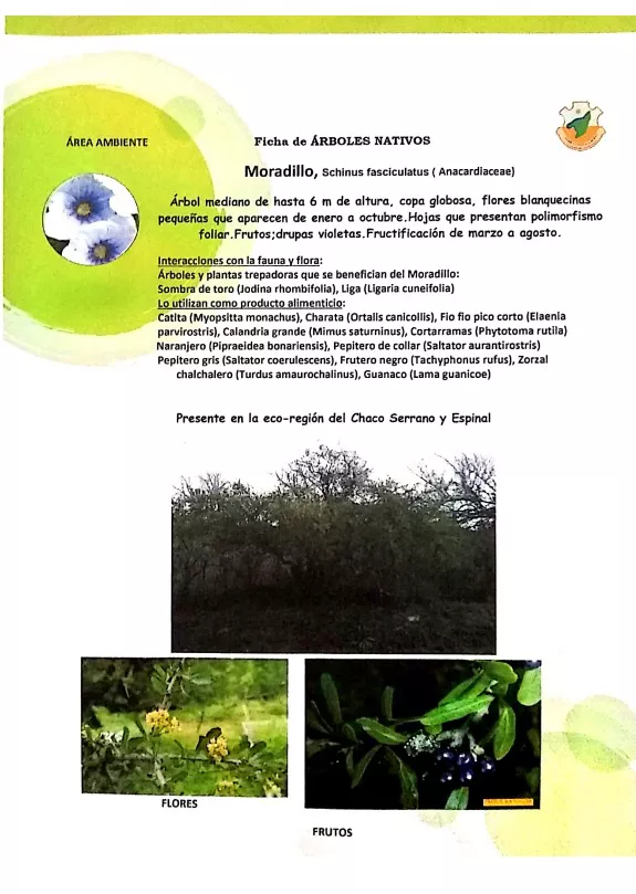 WhatsApp Image 2022-05-16 at 1.34.58 AM (5)