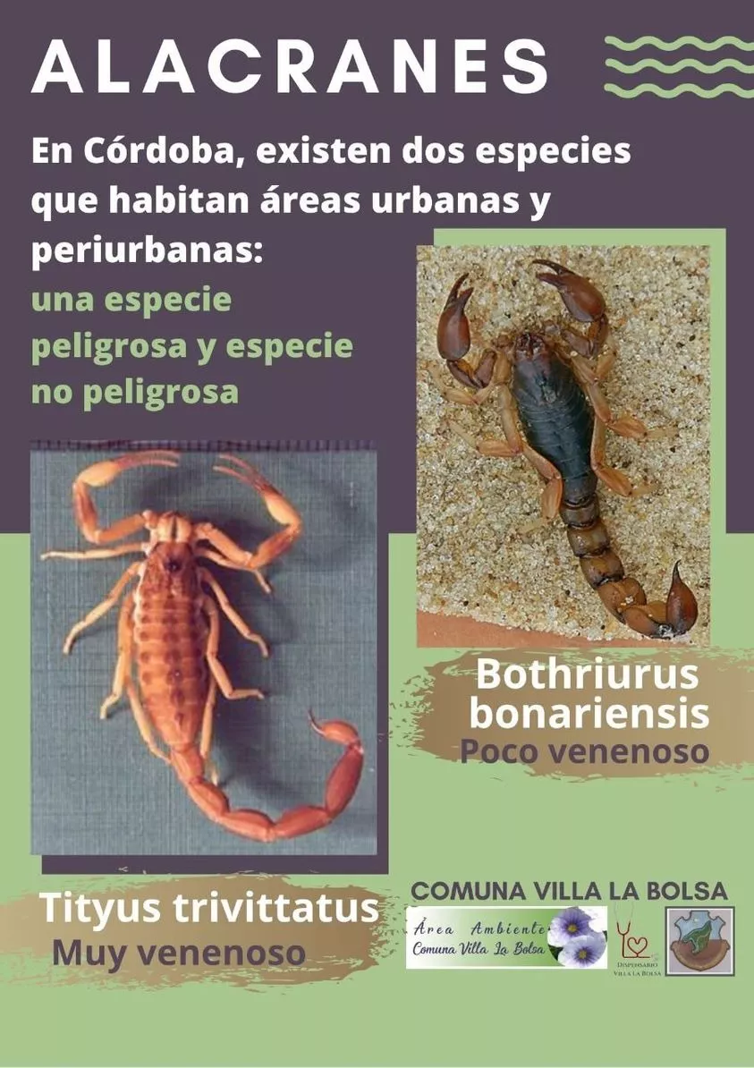 WhatsApp Image 2022-07-26 at 12.37.32 AM (1)