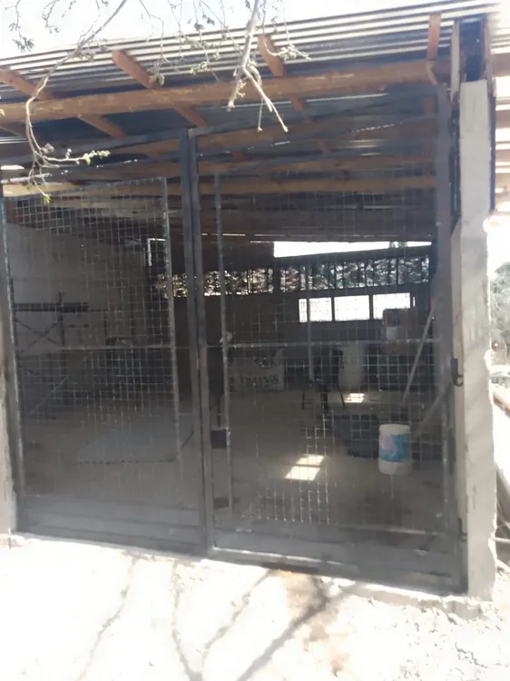 WhatsApp Image 2023-09-06 at 2.30.22 PM (3)