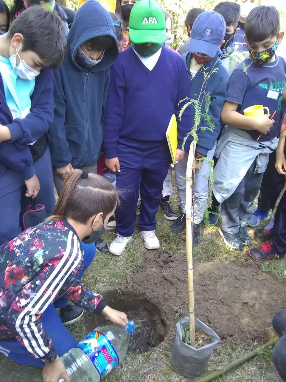 multimedia.normal.8dcc8edd0ee55117.576861747341707020496d61676520323032312d31302d31352061742031322e5f6e6f726d616c2e6a706567