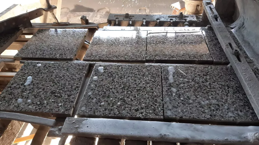 WhatsApp Image 2022-05-17 at 11.12.16 AM