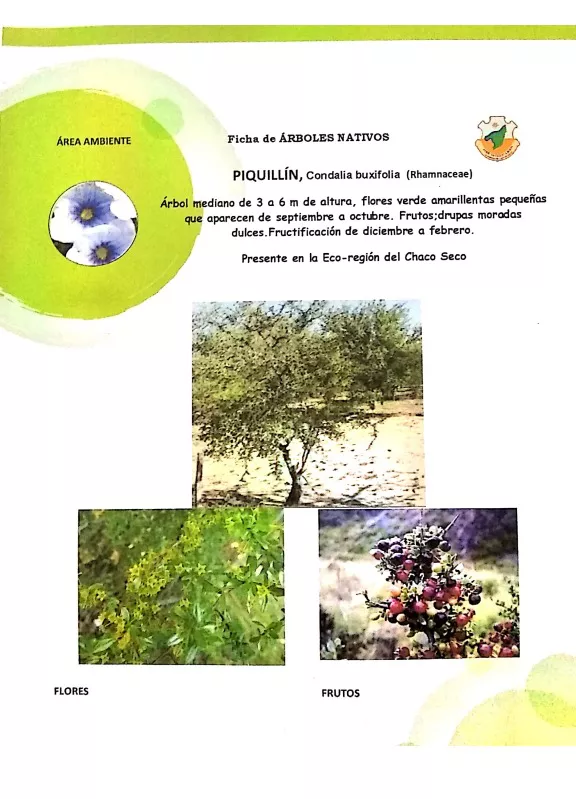 WhatsApp Image 2022-05-16 at 1.34.58 AM (3)