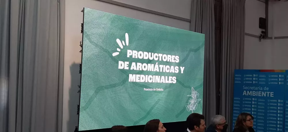 WhatsApp Image 2022-07-05 at 11.24.11 AM