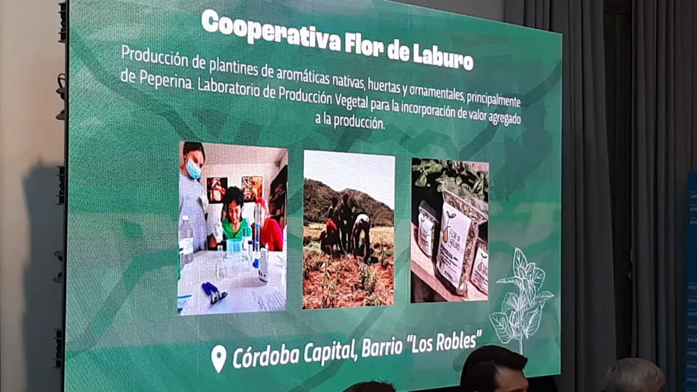 WhatsApp Image 2022-07-05 at 11.25.24 AM