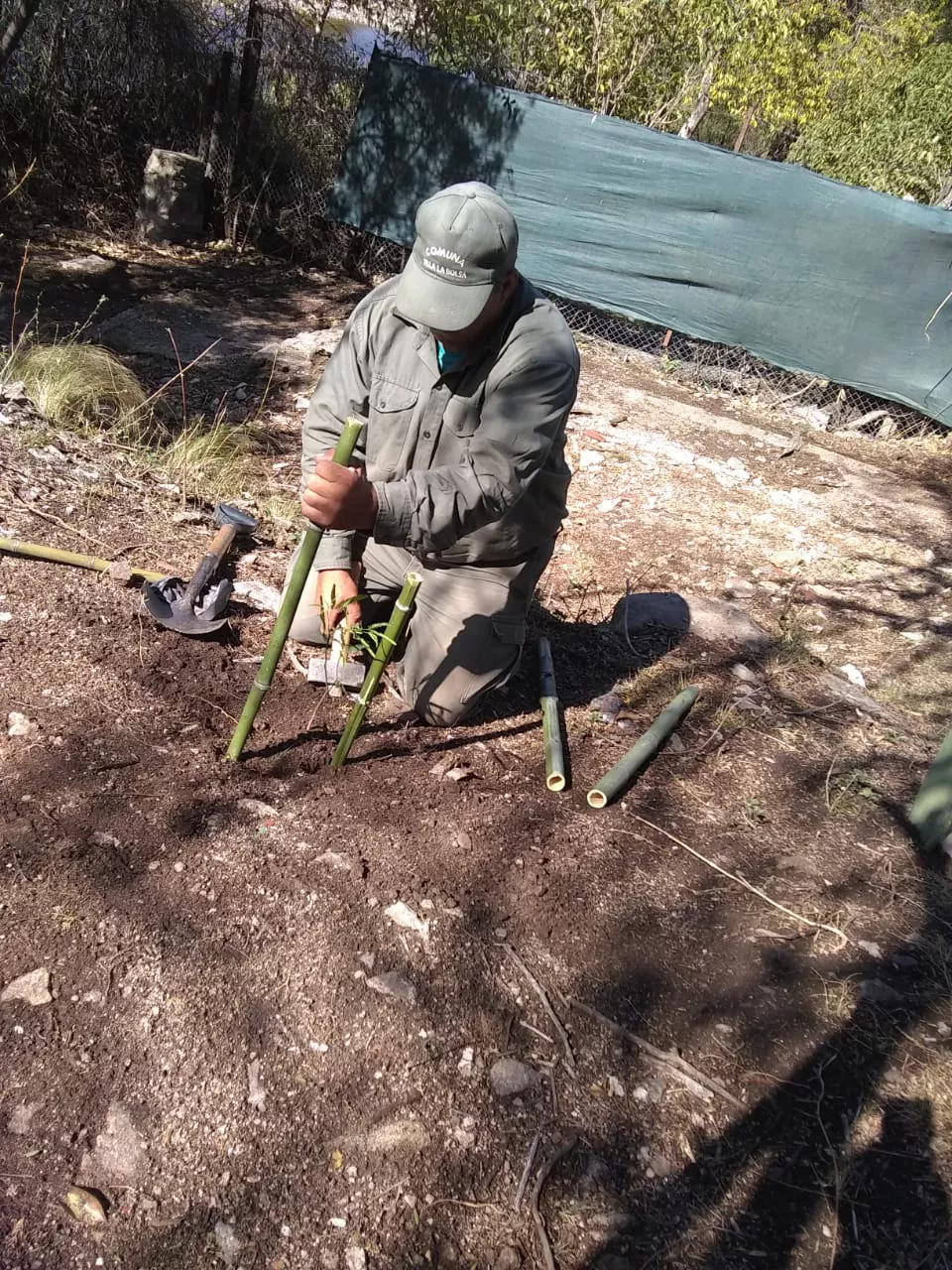 WhatsApp Image 2022-10-26 at 10.49.42 AM (1)