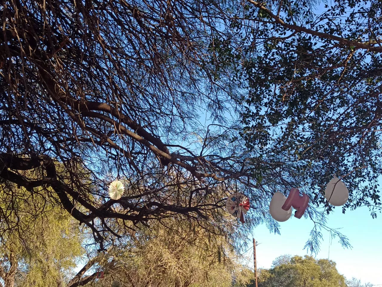 WhatsApp Image 2022-08-21 at 10.56.49 AM