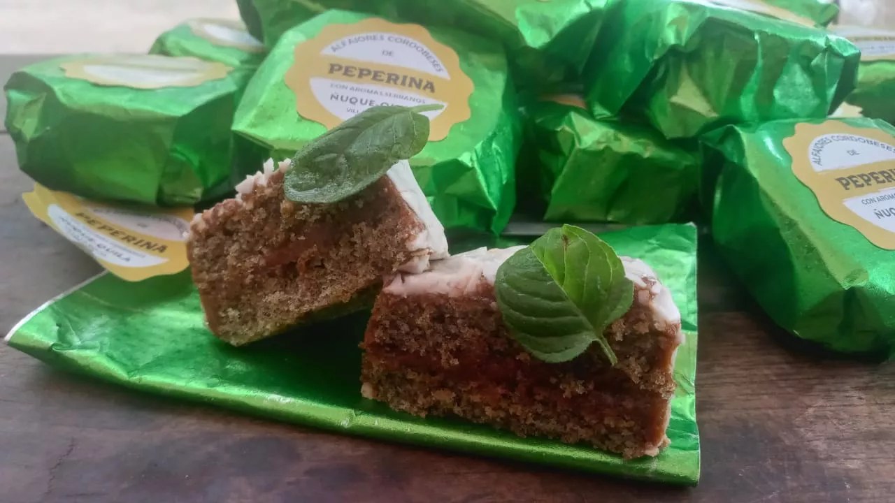 WhatsApp Image 2023-01-06 at 5.49.41 PM