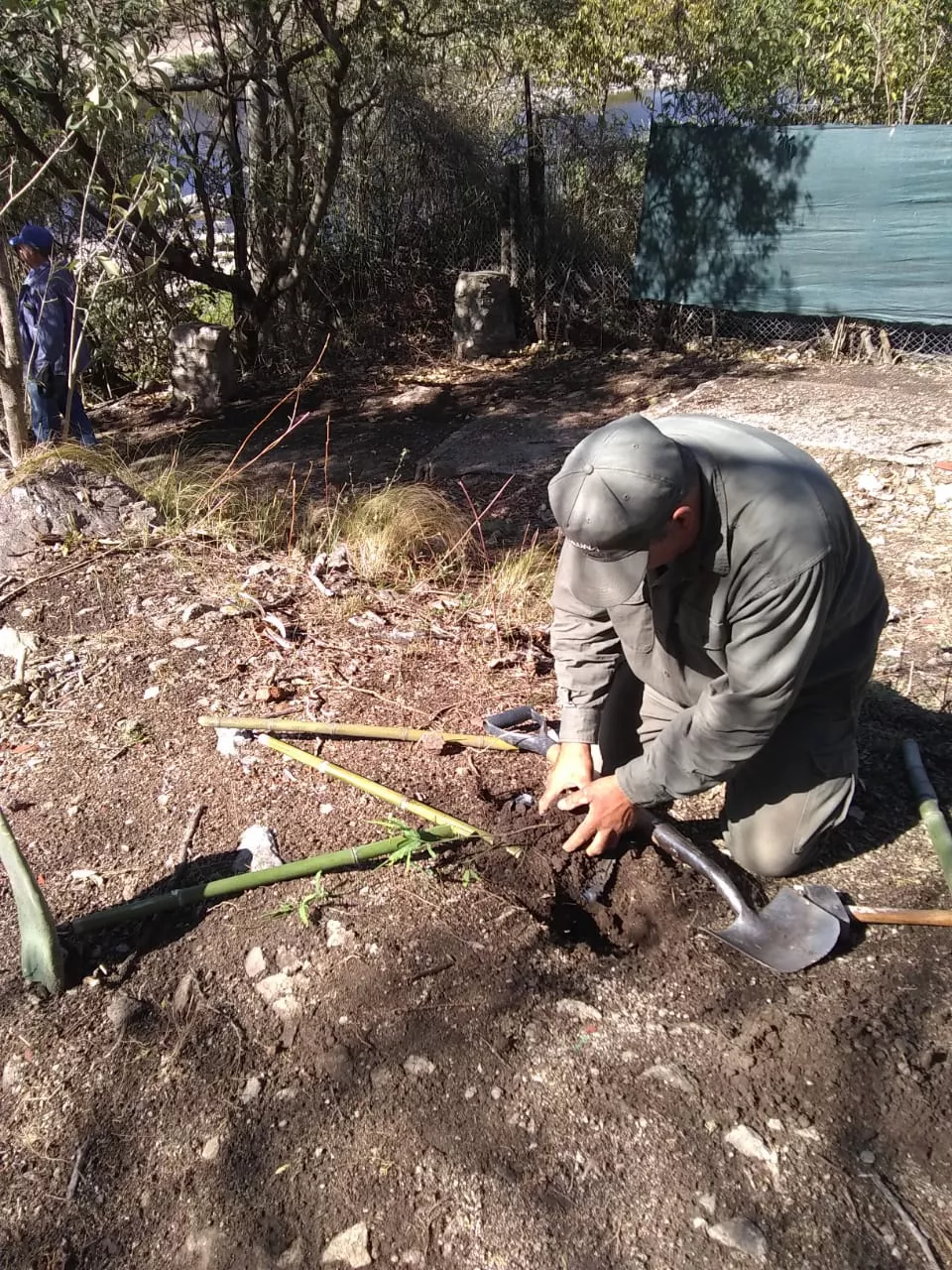 WhatsApp Image 2022-10-26 at 10.49.42 AM