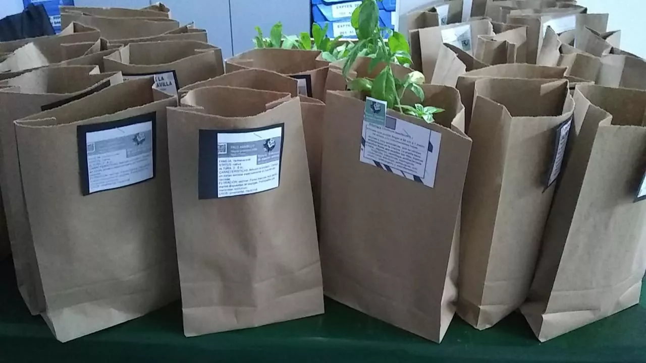 WhatsApp Image 2022-05-03 at 10.22.41 AM