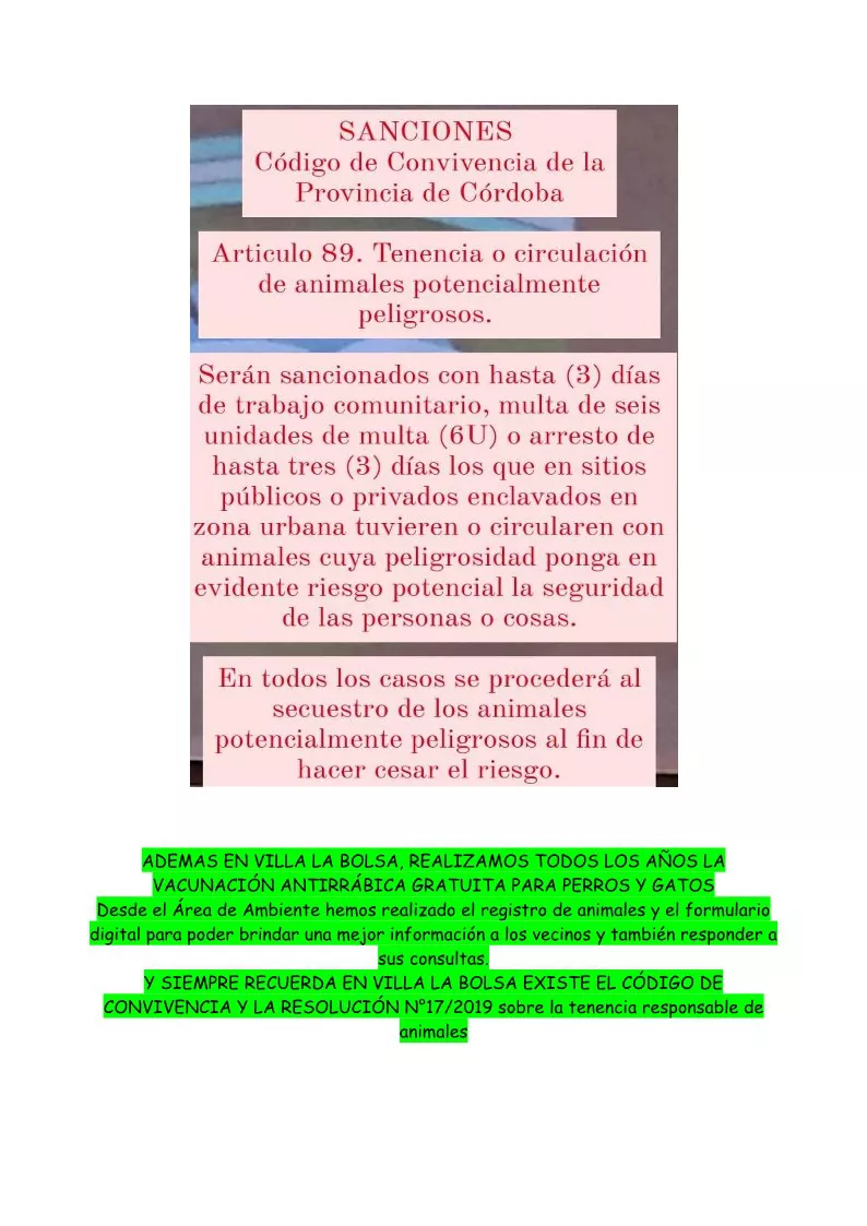 Animales peligrosos Ambiente La Bolsa (2)_4