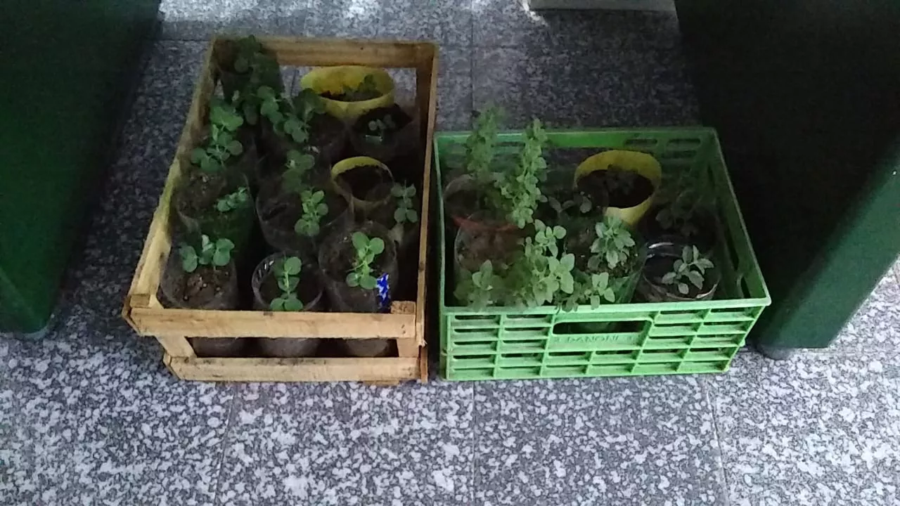 WhatsApp Image 2022-05-03 at 10.22.42 AM