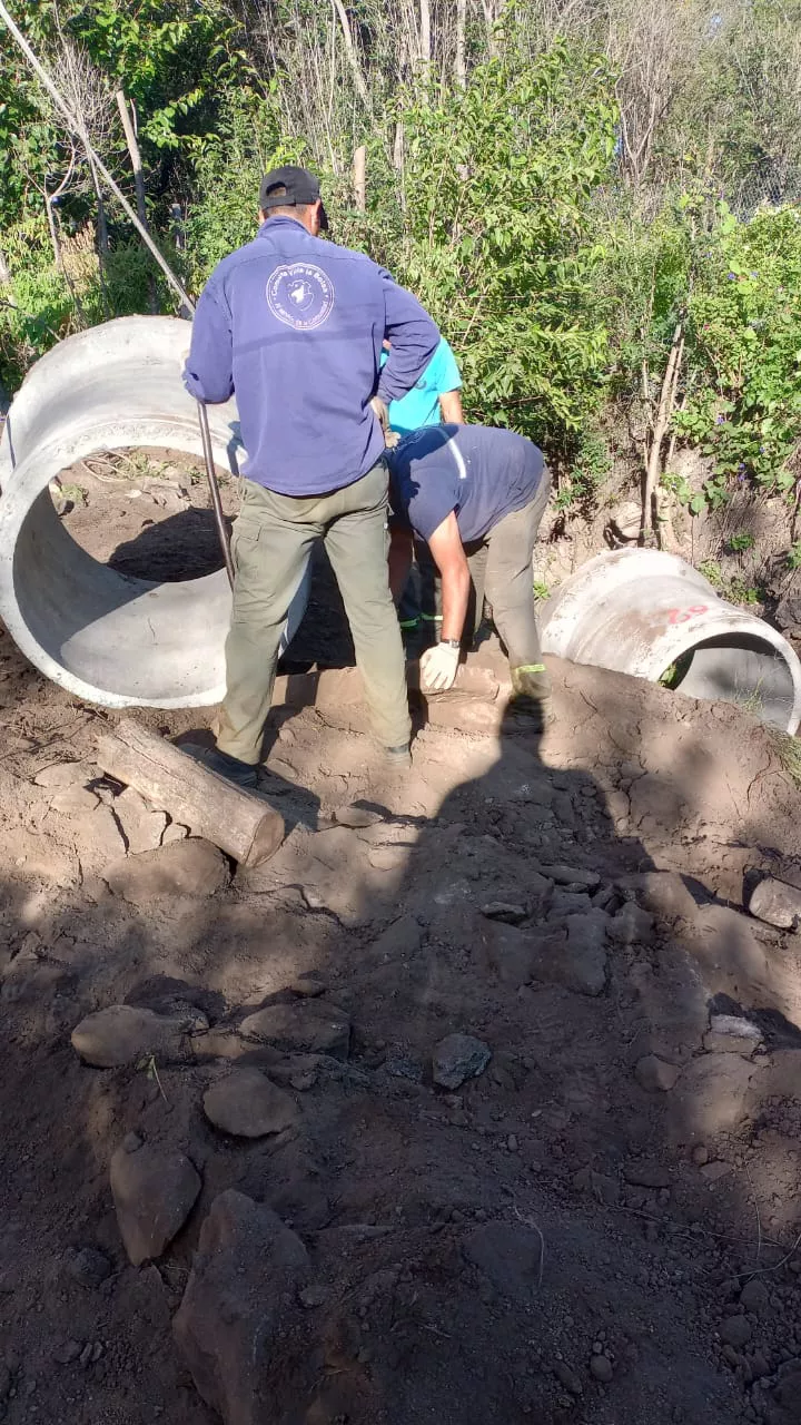 WhatsApp Image 2023-04-27 at 1.21.37 PM (1)