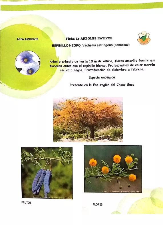 WhatsApp Image 2022-05-16 at 1.34.58 AM (6)