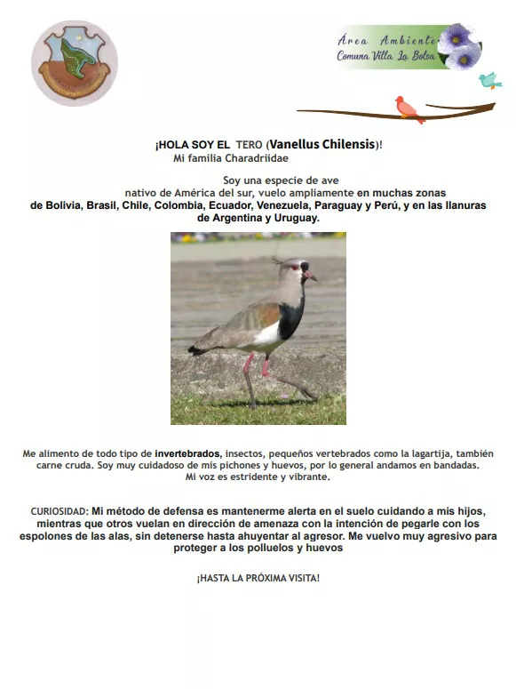 WhatsApp Image 2022-05-16 at 4.21.06 PM