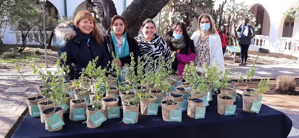 WhatsApp Image 2022-07-05 at 10.55.13 AM