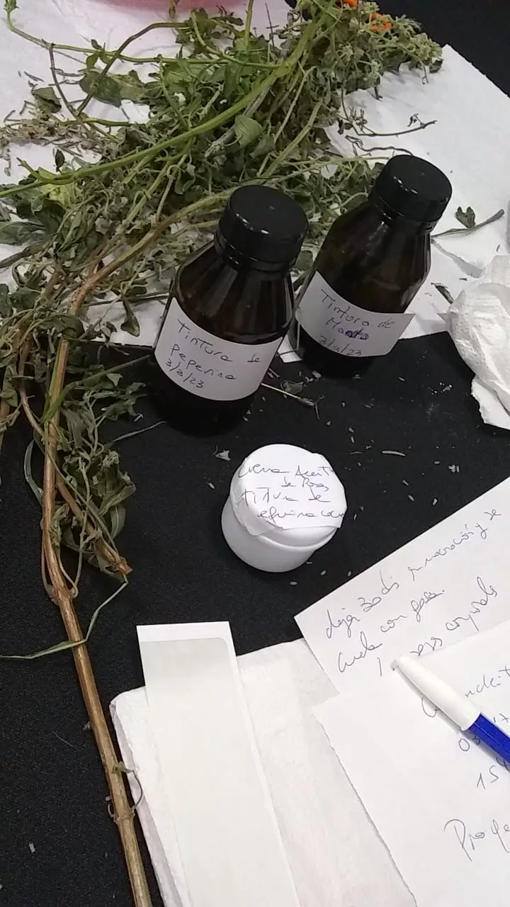 WhatsApp Image 2023-03-03 at 1.08.08 PM