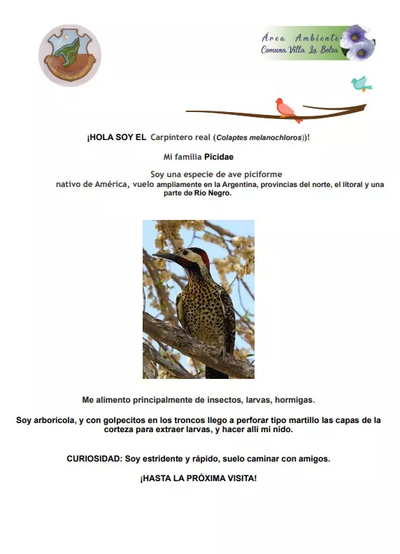 WhatsApp Image 2022-05-16 at 2.08.06 PM