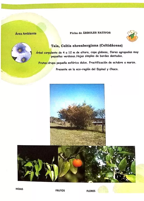 WhatsApp Image 2022-05-16 at 1.34.58 AM (1)