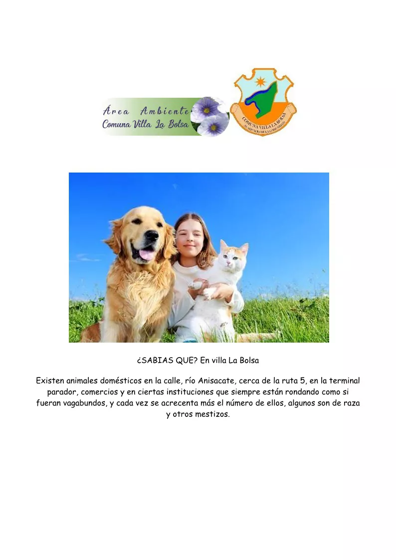 Animales peligrosos Ambiente La Bolsa (2)_1