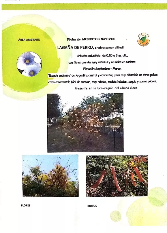 WhatsApp Image 2022-05-16 at 1.34.58 AM (4)