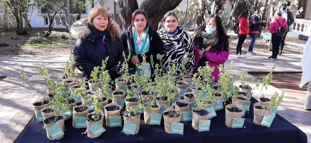 WhatsApp Image 2022-07-05 at 10.55.13 AM (1)