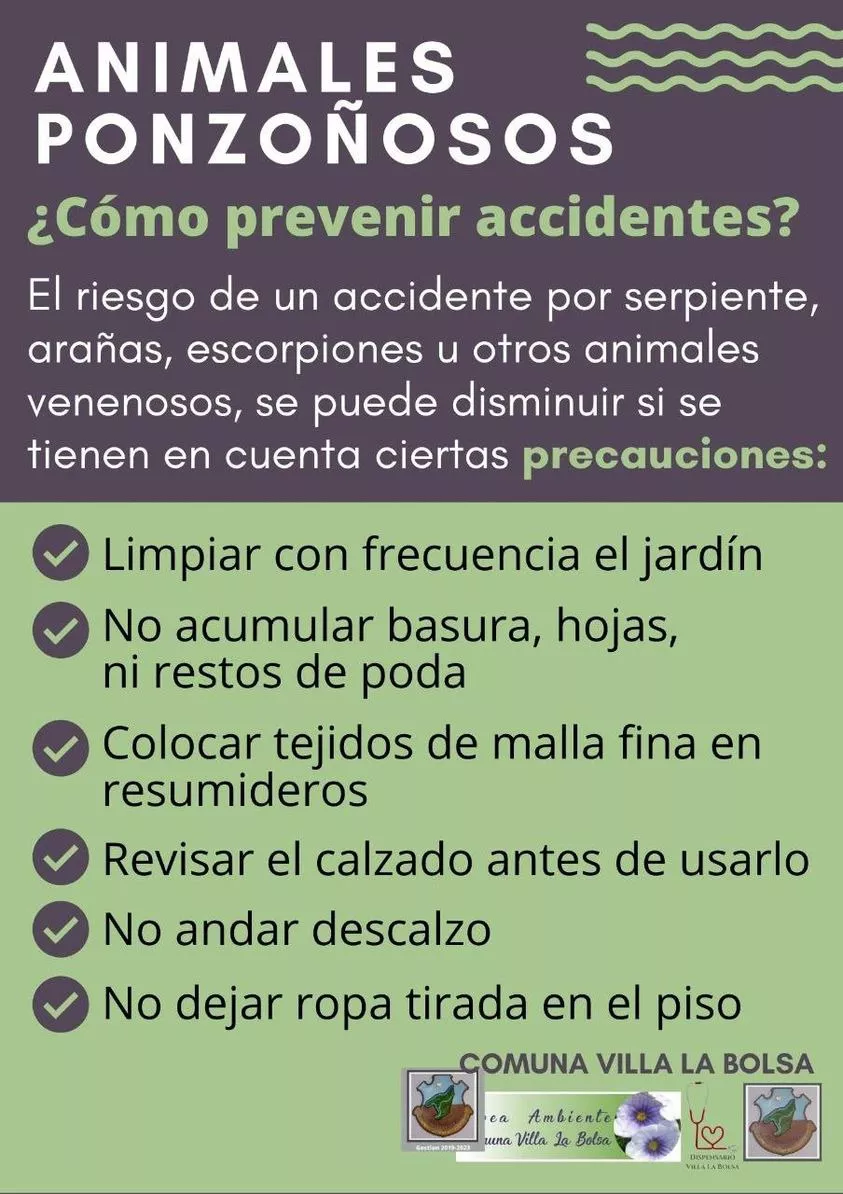 WhatsApp Image 2022-07-26 at 12.37.32 AM