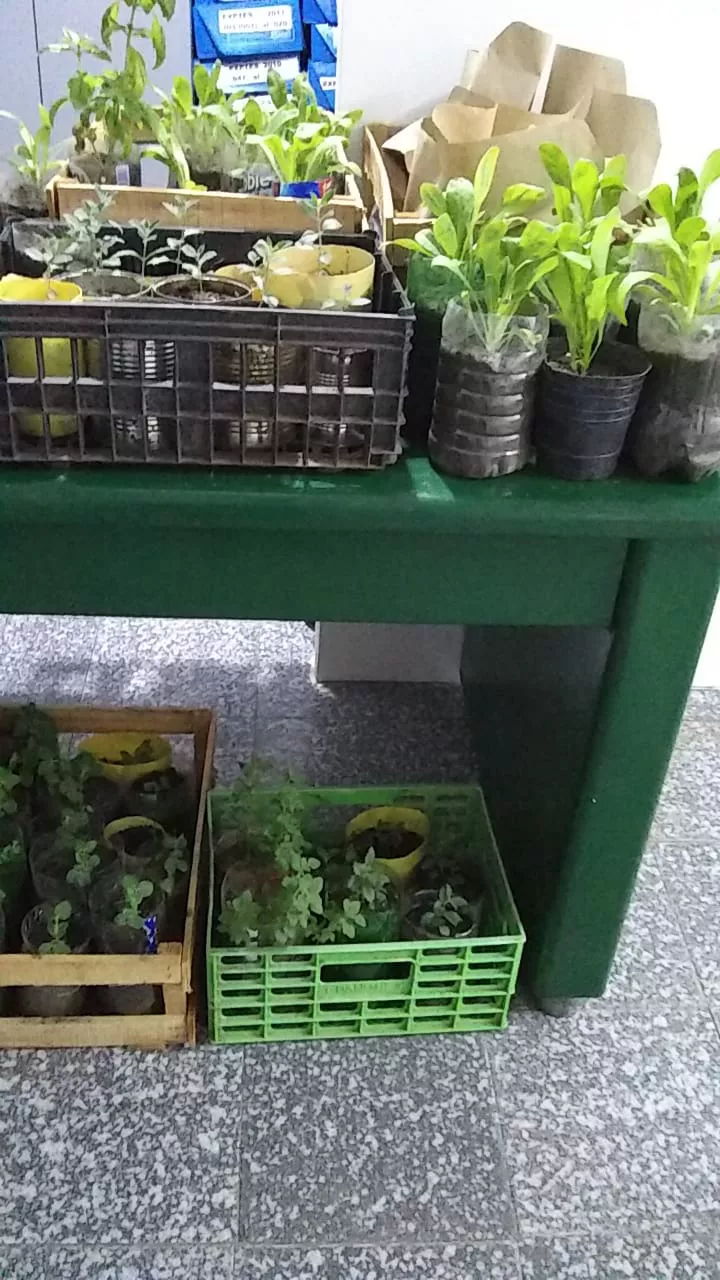 WhatsApp Image 2022-05-03 at 10.22.40 AM