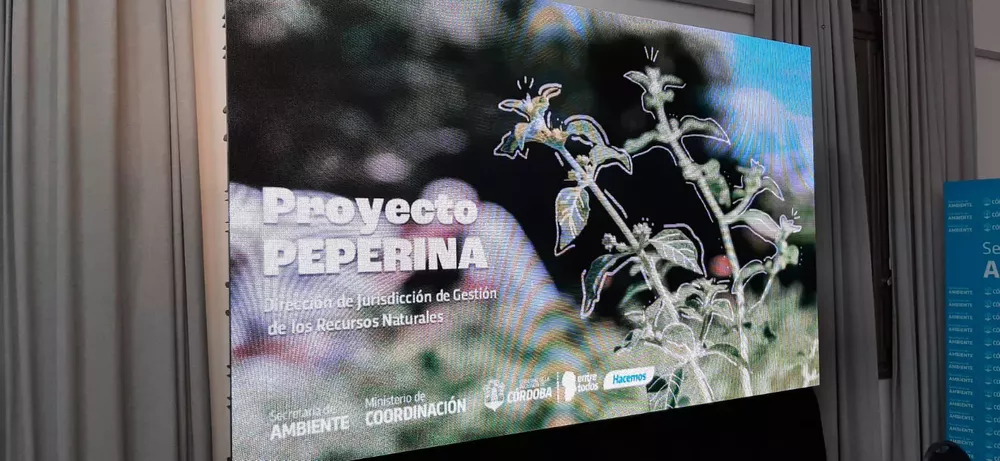 WhatsApp Image 2022-07-05 at 11.07.12 AM