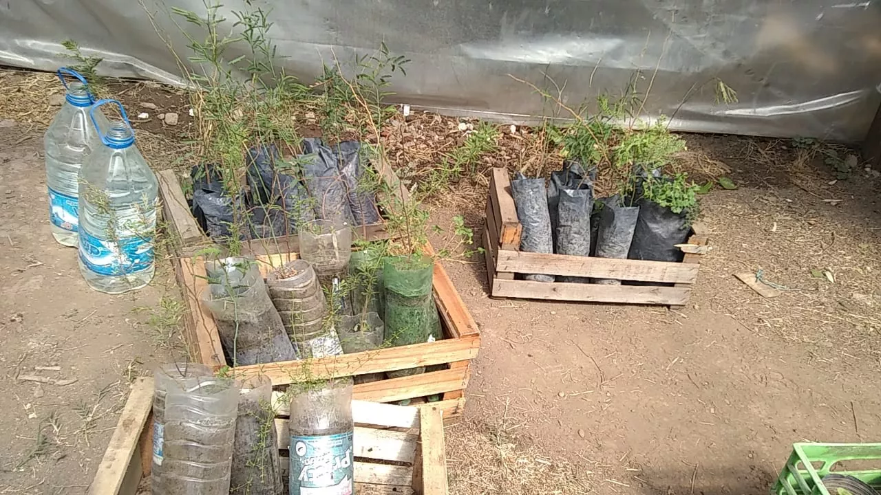 WhatsApp Image 2022-10-26 at 10.47.47 AM