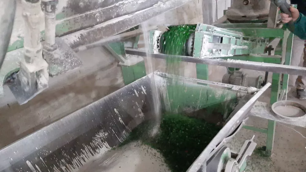 WhatsApp Image 2022-05-17 at 11.13.23 AM