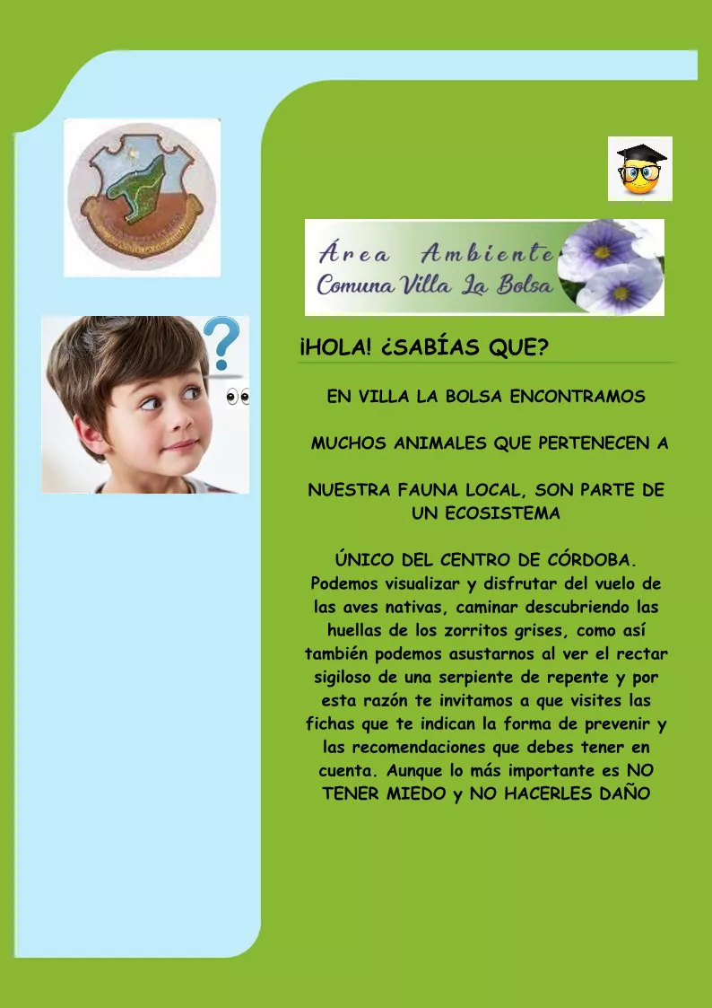 1-FICHA 1 ANIMALES VENENOSOS_1