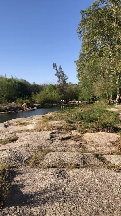 WhatsApp Image 2022-10-09 at 5.54.57 PM (1)