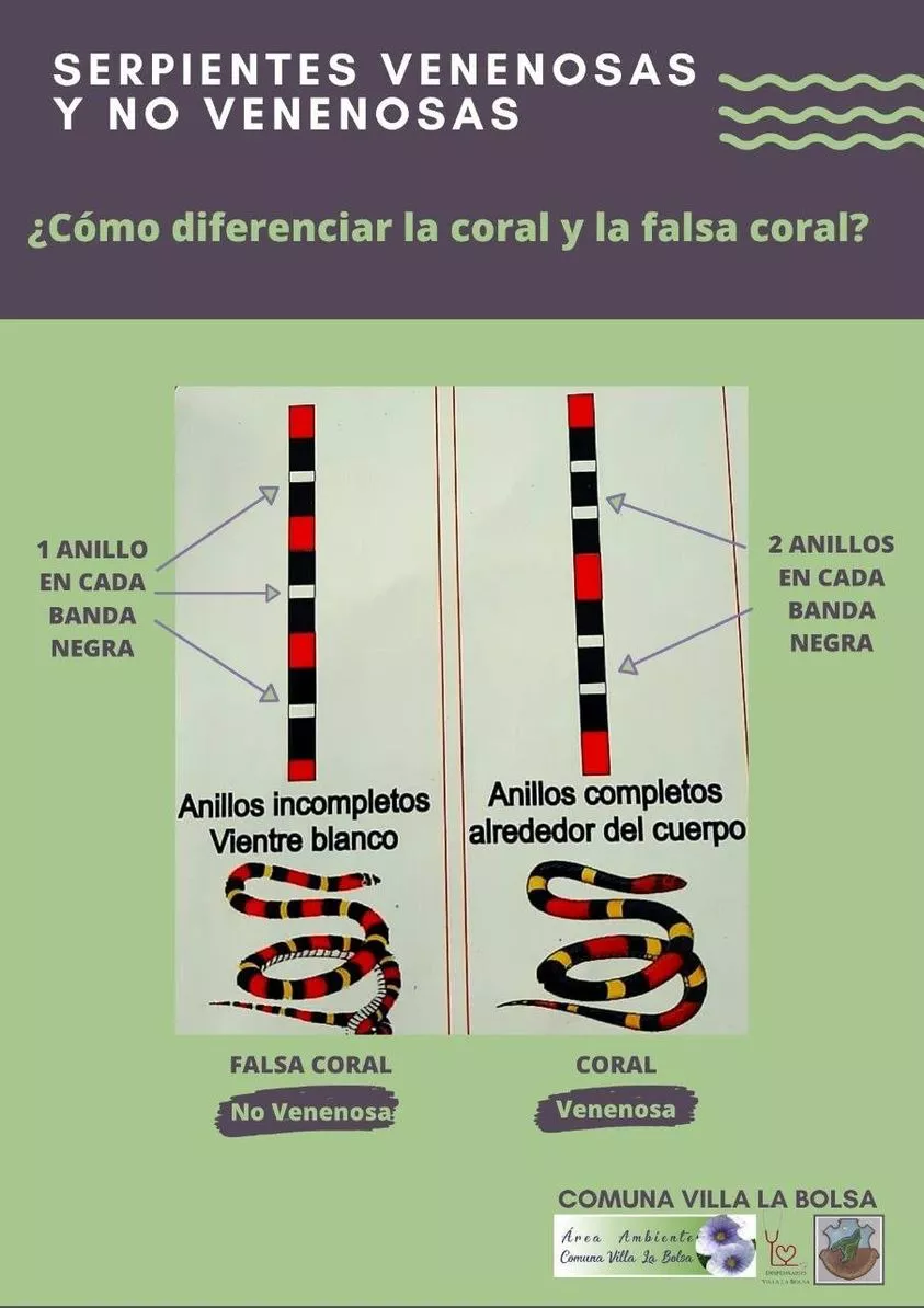 WhatsApp Image 2022-07-26 at 12.37.31 AM