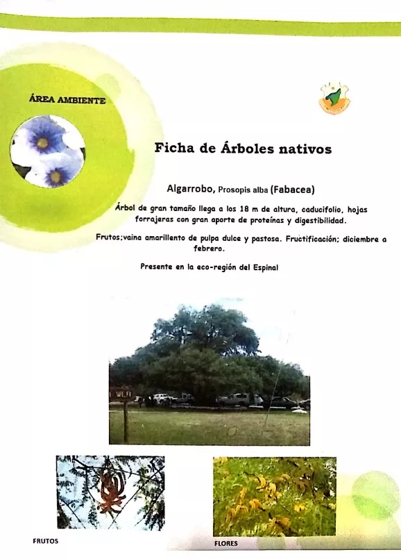 WhatsApp Image 2022-05-16 at 1.34.58 AM (7)