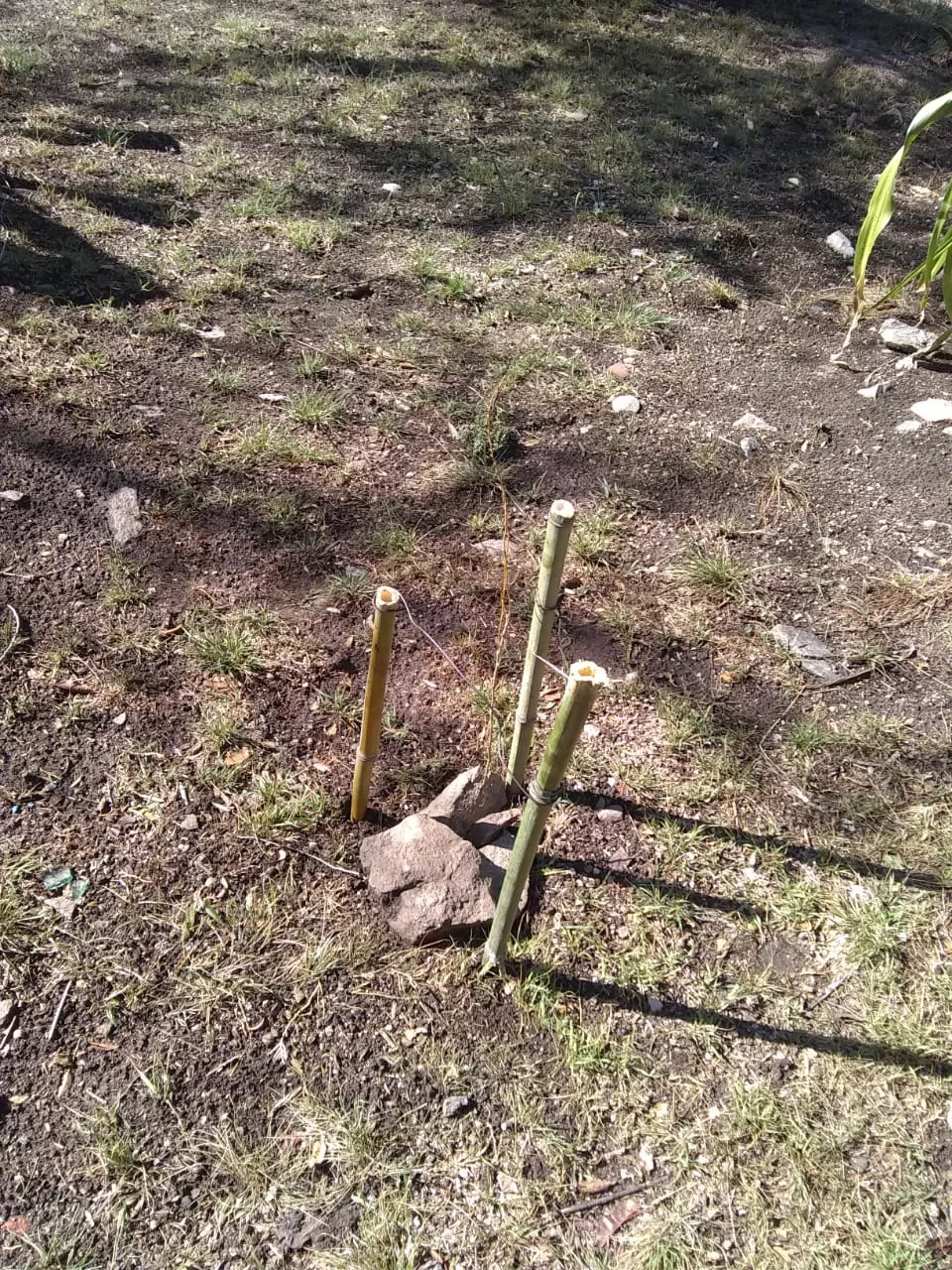 WhatsApp Image 2022-10-26 at 10.49.41 AM