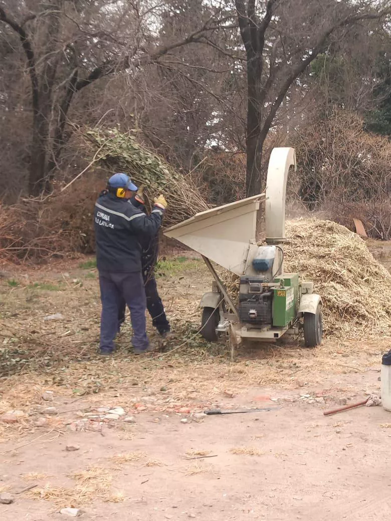 multimedia.normal.99cf47423d238f9c.576861747341707020496d61676520323032302d30382d30362061742031312e5f6e6f726d616c2e6a706567