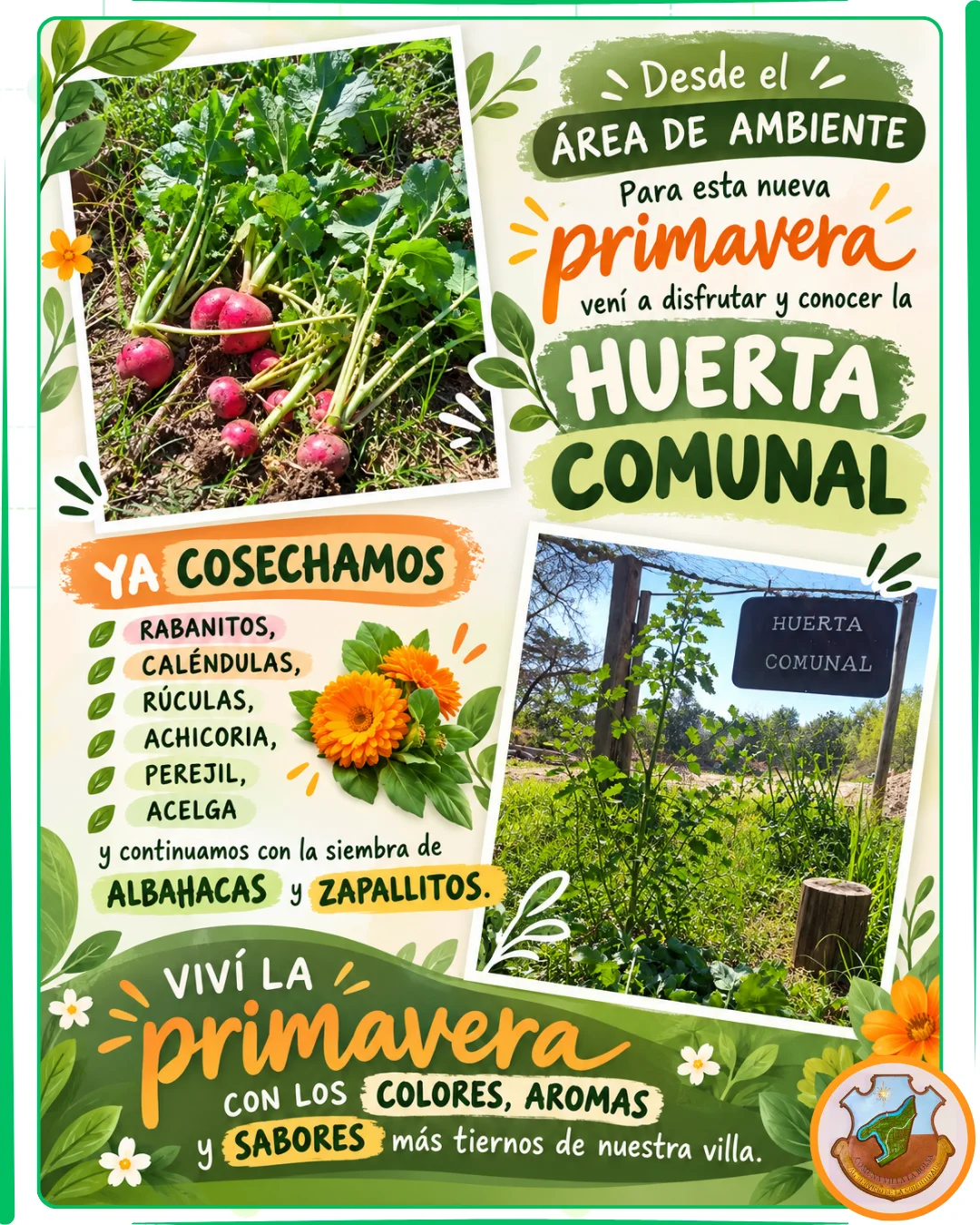 CVLB - Ambiente - 30-09-2026 - v1