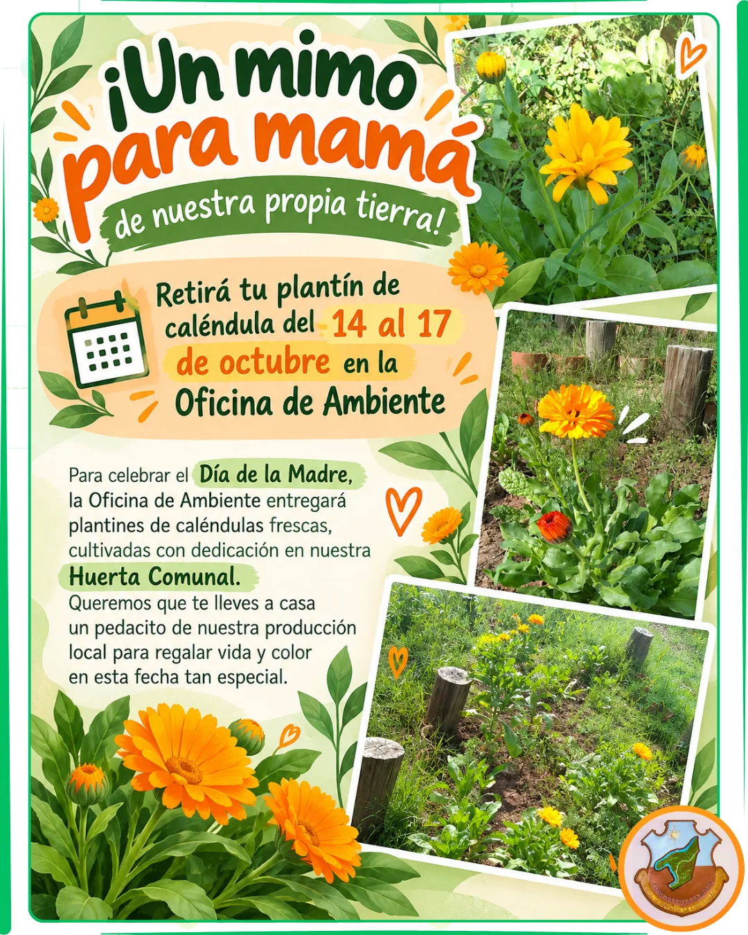 CVLB - Ambiente - 07-10-2026 - v1