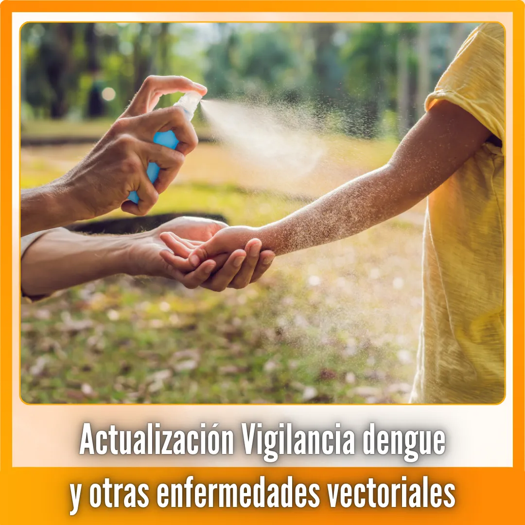 CVLB - WEB - Comuna - 23-01-2026