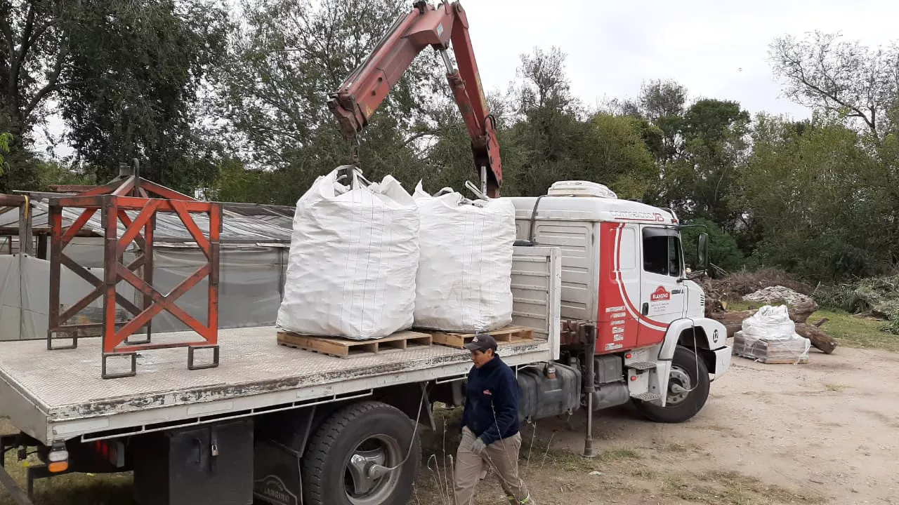 WhatsApp Image 2022-05-01 at 4.13.23 PM