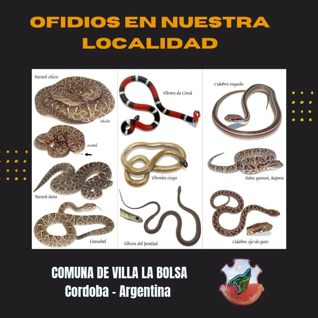 WhatsApp Image 2026-01-23 at 18.12.06