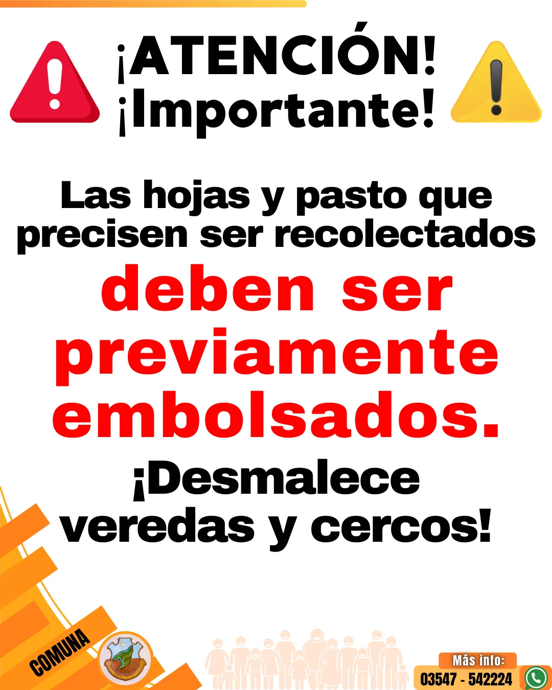 CVLB - La Comuna - FEED - Poda & Hojas - 26-02-2025 - v6