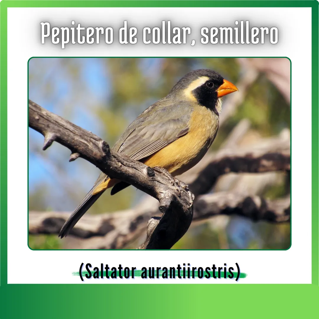 CVLB - WEB - Ambiente - 08-01-2026 - A